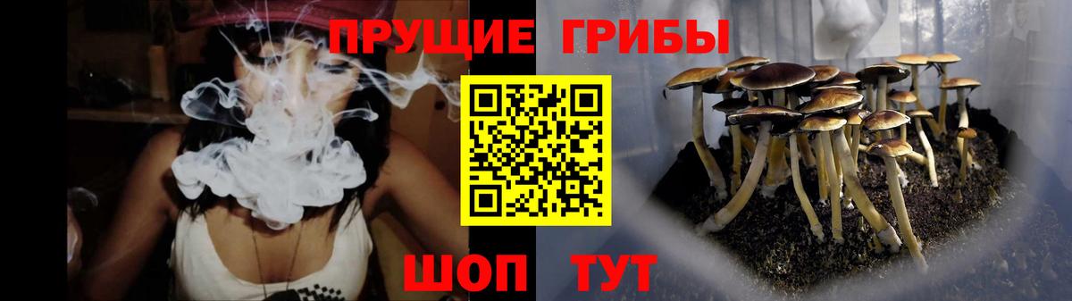 Псилоцибиновые грибы мицелий  Псилоцибиновые грибы Magic Shrooms  Вход с VPN  Донецк 