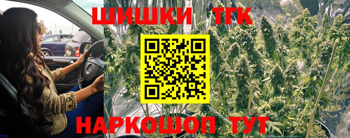 Каннабис планчик  Канабис ГИДРОПОН  Марихуана сатива  Вход с VPN  Донецк 